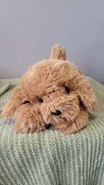 FAO Schwarz Golden Doodle Poodle Dog Puppy